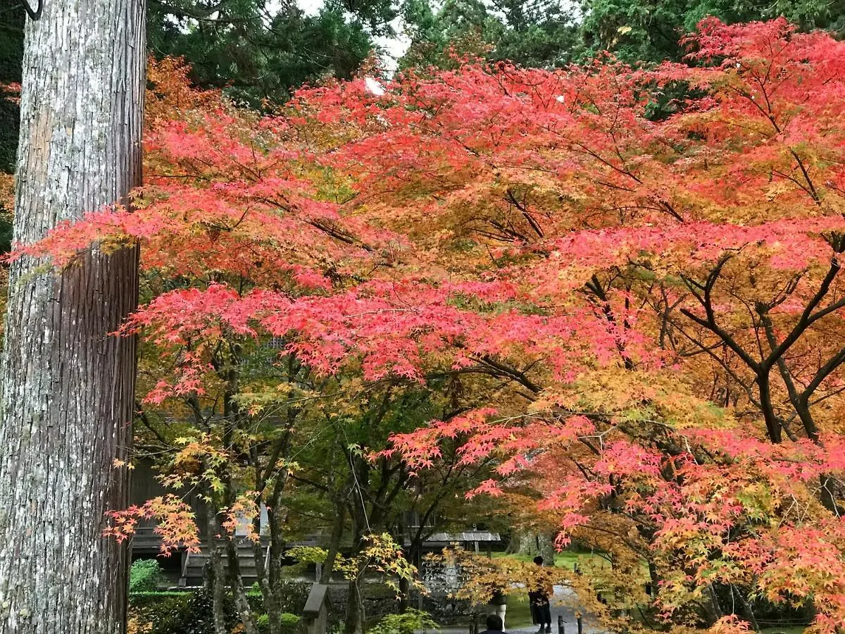 Ohara Sensui Surrounded By Beautiful Nature Kyoto